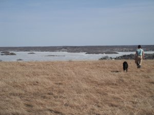 The Changing Seasons in Sudbury