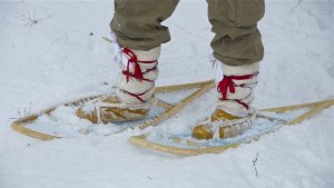 LOTN snowshoes