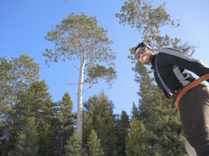 Dave under the towering Red Pines of Wolf Lake