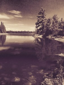 A peaceful moment on the pond.