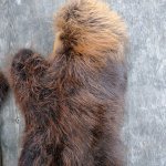 Beaver mittens