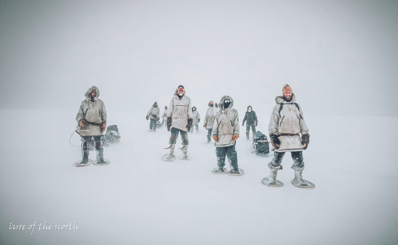 SnowWalkers