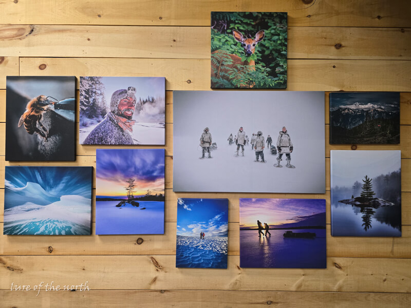 Canvas Prints